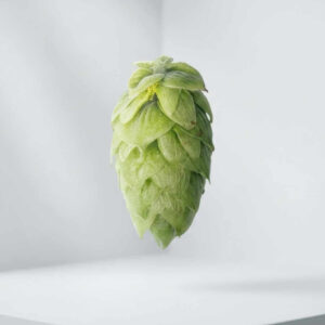 Hallertauer Tradition